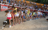 Exhibición de deporte canino (Se abre en ventana nueva)