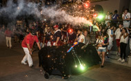 Toro de fuego (Se abre en ventana nueva)