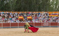 Corrida de toros (Se abre en ventana nueva)