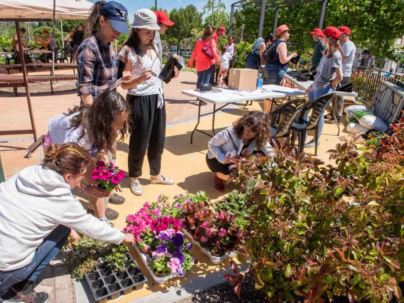 Taller de plantas 1