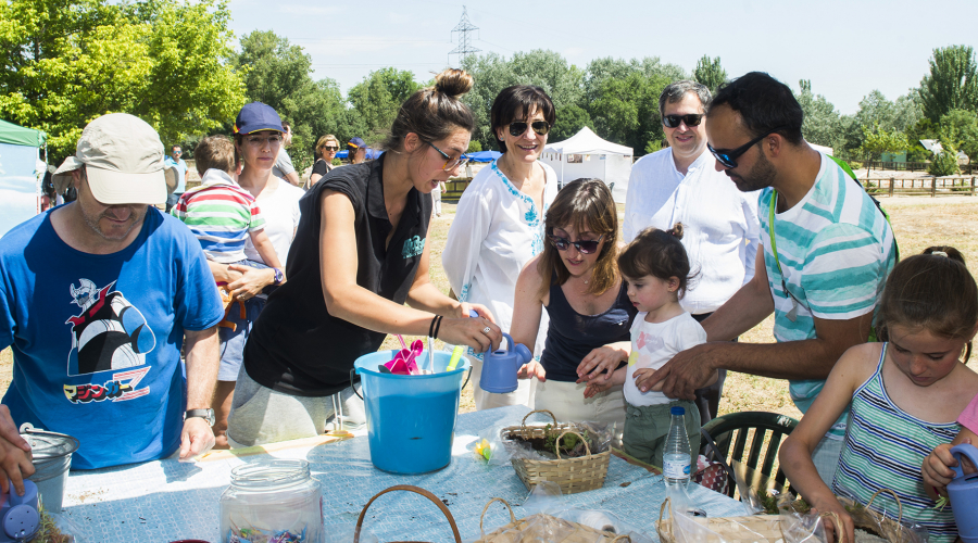 Actividades y talleres en el Día Mundial del Medio Ambiente